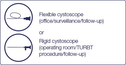 flexible and rigid Blue Light Cystoscopy with Cysview